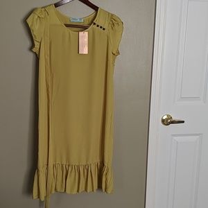 Francesco's collections dress new w/ tag green MED